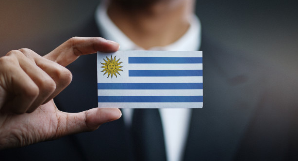 Cómo invertir en Uruguay: opciones seguras vs rentables en 2026